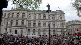 Man miraculously mounts lamppost during pro-Palestine protest in London