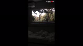 'Fake Window Challenge - Russian Girl Uses Projector to Display Beautiful Views on Wall'