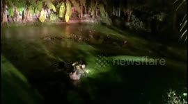 Dog owner drowns while saving pet stuck in pond but loyal pooch survives and waits by shore
