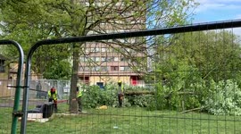 Residents Are Heartbroken as a New Eviction and Tree Fellings granted to Wandsworth Council and Taylor Wimpey Homes at York Gardens