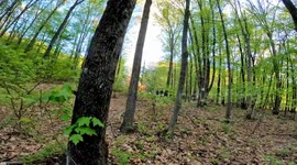 3rd Alarm House fire with collapse, Lavelle, Pennsylvania  full video