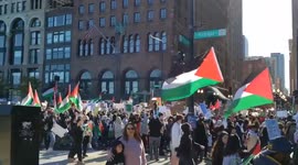 Thousands of pro-Palestine protesters demonstrate in Chicago