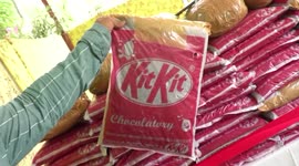 Indian cannabis smugglers arrested trying to hide drugs in chocolate packages