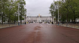 The Elephant Family Outside Buckingham Palace