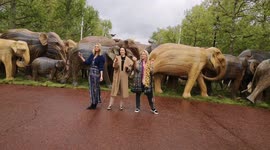 Joanna Lumley makes press smell nice at elephant art installation at Buckingham Palace
