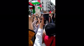 Free Palestine demonstration in Madrid