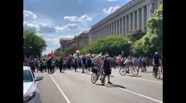 Supporters of Palestinians walking on the streets of Washington DC