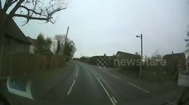 Seagull Attempts to Attack Deer Caught on Dash Cam in Norfolk UK