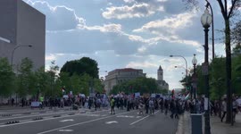 Washington DC Palestinian supporters walking toward Capitol Hill