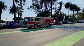 Part 2 car is crushed by a tree in Los Angeles. A tree broke apart and fell on several parked cars adjacent to Palisades Park in Santa Monica California.