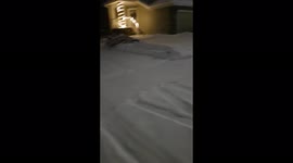 Flying from Scotland to Canada to surprise my brother and family without telling them. They had no idea!!