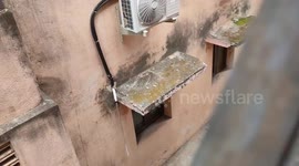 Record of the kitten being rescued from the apartmenttamilnadu  south india