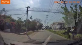 Kind driver stops to help turtle cross the road in Thailand