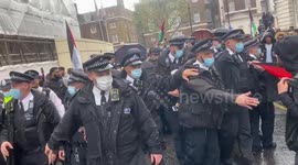 Palestine protesters confront London police after an arrest in Whitehall