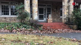 'Raleigh Girl Shares a Top-Notch Porch Pirate Solution'