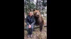 Tame bear gives hugs and licks to his friend in the Russian forest