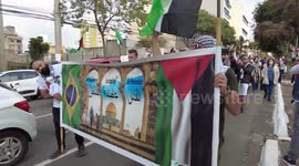 Free Palestine protest In São Paulo, Brazil