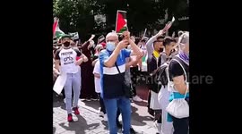 Pro-Palestinian Demonstrations in Madrid