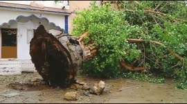 Cyclone Tauktae blasts Gujarat uprooting trees and forcing evacuations