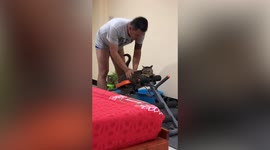Cat enjoys back massage while laying relaxed on a gym bench