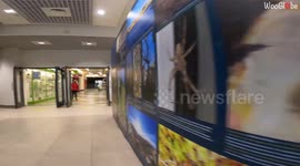 Security Guards Foil Old Lady's Robbery Attempt at Eyre Square Centre
