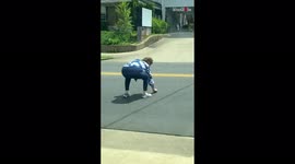 Woman halts traffic in Kentucky to rescue baby bird from road