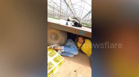 Thai workers in Israel run for cover and hide under truck during Hamas rocket attack