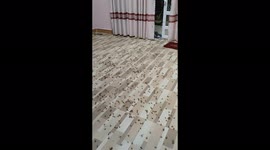 Thousands of flying ants invade Vietnamese man's house