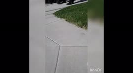 Cpd officer misconduct, abuse of authority towards young hispanics. Making threats, trying to intimidate my right to do what I can to hold them accountable. At 14 years old a gang unit officer Bentwalt threated to deport me and my family if I didn't give