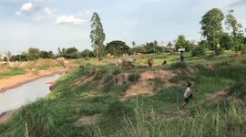 Pregnant cow rescued after getting stuck in muddy canal