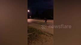 Two men help pregnant snake cross road in Thailand