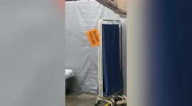 Tired cat sleeps on empty Covid-19 isolation bed in Malaysia