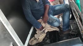Authorities arrest miscreant for smuggling liquor illegally in southern India
