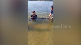 Dolphin stranded in shallow water rescued in Thailand