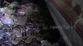 Workers find snake hiding in shopping mall storage room