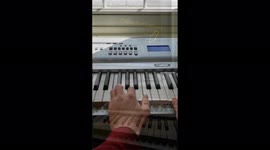 My Neighbor's cats love to come to the window to nap and listen whenever we play Piano!