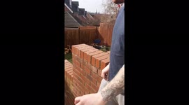 'Aggressive Rabbit Chases Man out of his Own Garden '
