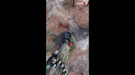 'GoPro Records Man Hilariously Falling from a Tree'