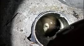 Firefighters Evacuate Kittens Into a Septic Tank in Central Jakarta, Indonesia