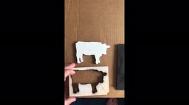 US artist goes viral on TikTok after using 'army of cows' to spread positive message