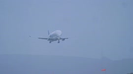 Scary aircraft landing in 39 knot crosswind by Airbus Beluga transport at Newquay Cornwall airport UK