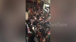 Palestinians in Gaza celebrate following ceasefire with Israel