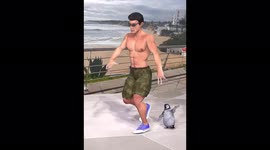 Silly walk with a penguin