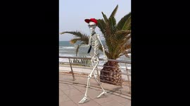 Human skeleton dance