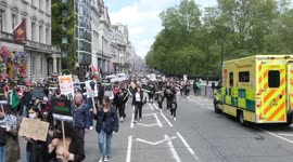 'Free Palestine' protesters block London Ambulance responding to blue light emergency