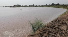 beautiful view of river side and filed and farms , waters, springs