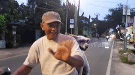 Cool dog wearing sunglasses rides pillion with her owner in Indonesia