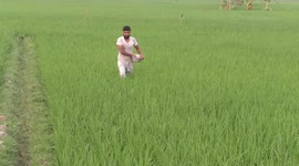 Water crisis in Jessore, Bangladesh