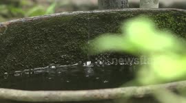 Water crisis has occurred in Jessore in hot weather. Water is not rising in the tube wells of the houses.