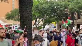 US: Nationwide Protests To Show Solidarity With Palestine